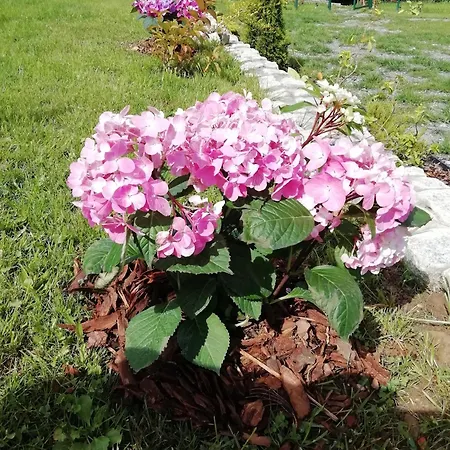 別荘 Sielskie Gory