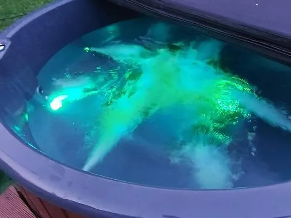 Sielskie Gory 펜션 *