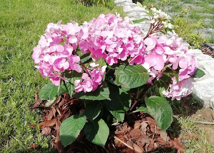 Prázdninový dům Sielskie Gory